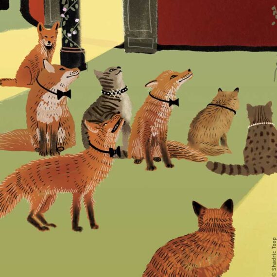 Grange Park Opera Illustrations - Cats and Foxes detail - Shadric Toop